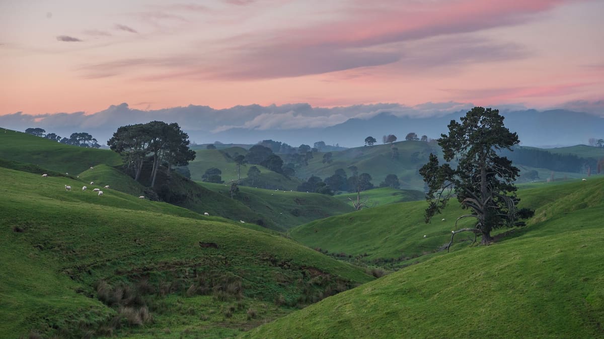 Why Matamata could be the next frontier in Tauranga’s expansion – Matt Cowley