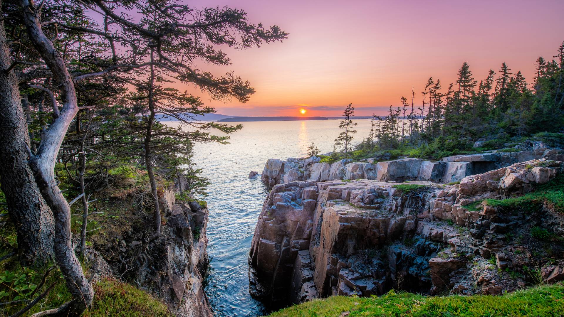 Rocky coastal cliffs and pine trees frame a serene sunset over calm water, with a colorful sky fading from orange to purple, depicting a peaceful, natural landscape.