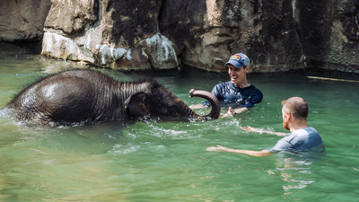 A baby elephant’s mother rejected her at birth. Her keeper refused to leave her side for nearly a month