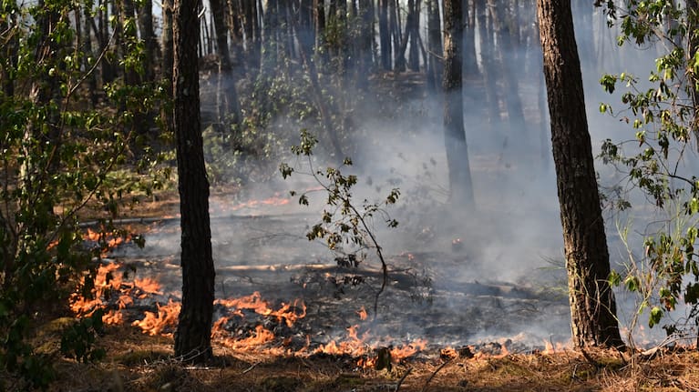 A fire burns in a forest near Claouey, during wildfires in southwestern France.