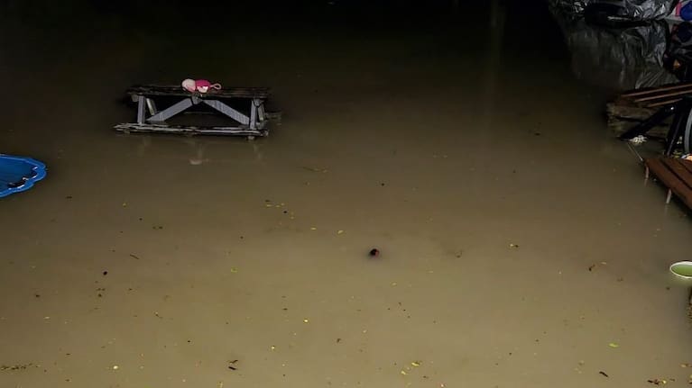 A flooded backyard in Cobden.