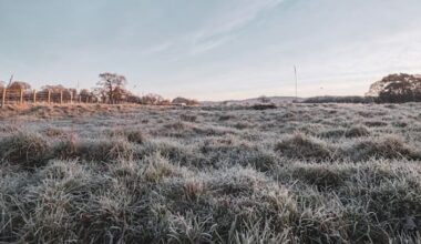 Another cold and frosty start to the day, as one spot records -7C