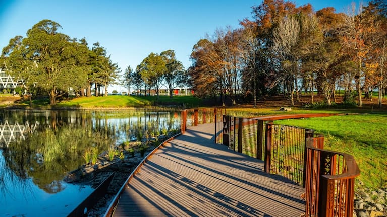 A new boardwalk provides visitors with improved access around the restored wetland at Manu-kau Noa Iho / Hayman Park.