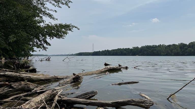 A section of the Scioto River's shore is seen in the Columbus suburb of Powell, Ohio.