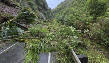 'The cliff's coming down': Family's narrow escape in Awakino Gorge