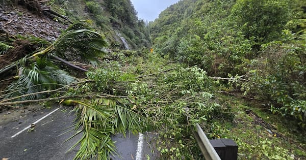 'The cliff's coming down': Family's narrow escape in Awakino Gorge