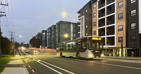 More intensification option wins out in Auckland housing vote