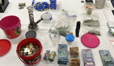 Cocaine, Taser found after police tail fleeing wrong-way driver