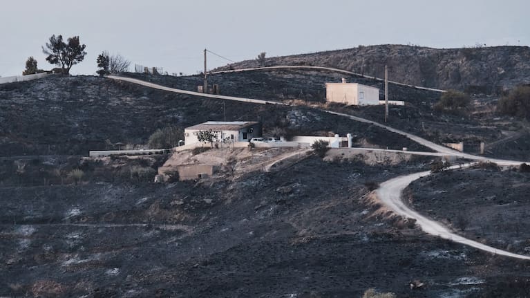 A view of a burnt area affected by wildfires in Bedar, near Almeria, Spain.