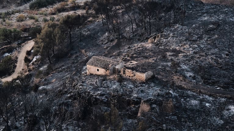 A view of a burnt area affected by wildfires in Bedar, near Almeria, Spain.