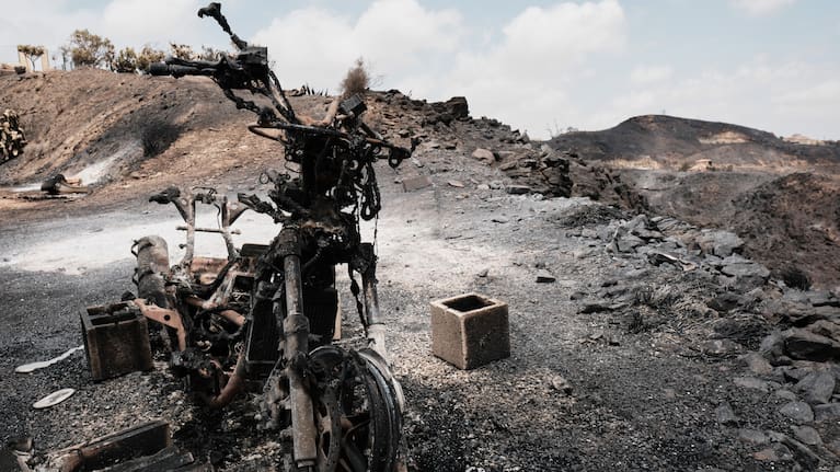 A view of a burnt area affected by wildfires in Bedar, near Almeria, Spain.