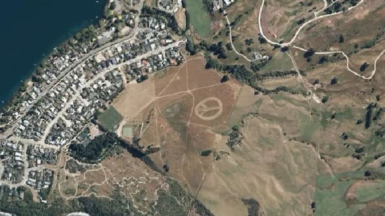 A 'wholesome' surprised mowed into the grass. (Source: Land Information NZ)