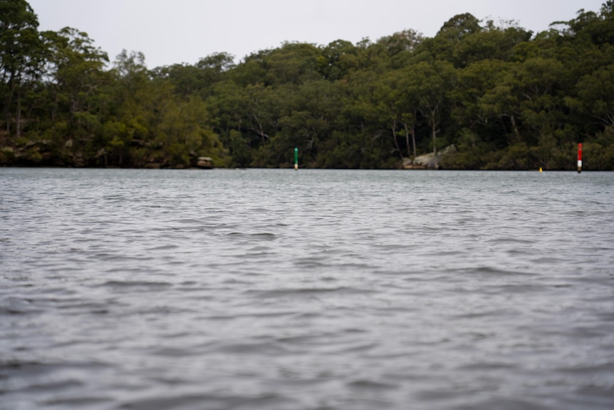 Lane Cove river