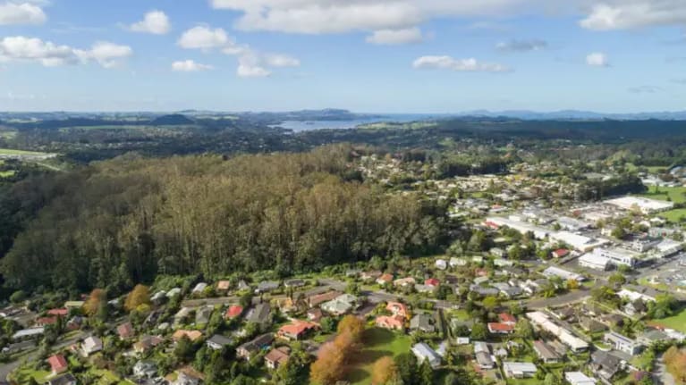 Aerial view of central Kerikeri, showing the gum trees before they were felled.
