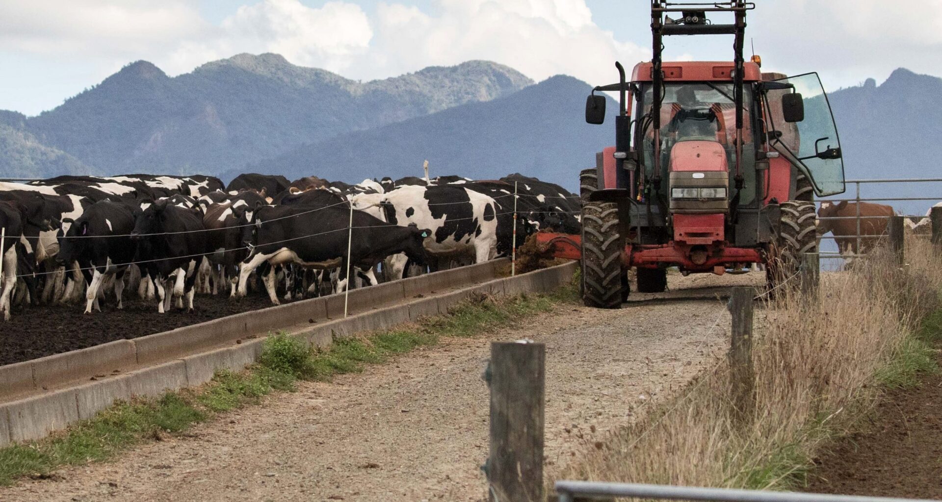 NZ increasingly off-track for climate targets as Govt hikes pollution