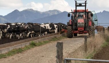 NZ increasingly off-track for climate targets as Govt hikes pollution
