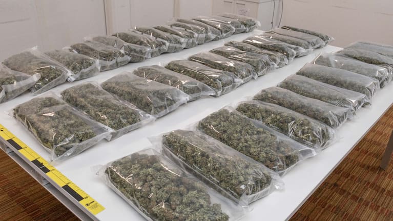 Alongside cannabis, tens of thousands of dollars of cash were seized, along with cannabis growing equipment.