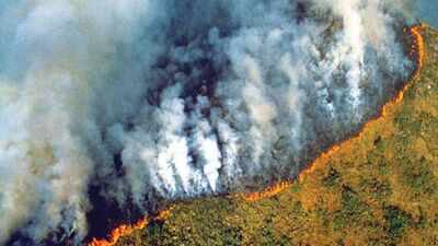 Amazon fires peaked during the 2024 drought. A year later, burned area hit its lowest level since records began in 1985