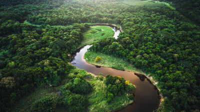 Amazon soy pact collapse could drive 1.4 million hectares of deforestation in Brazil by 2036, new study finds