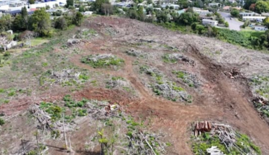 Developer felled trees, didn't build houses, now property is for sale