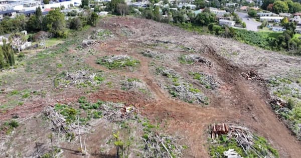 Developer felled trees, didn't build houses, now property is for sale