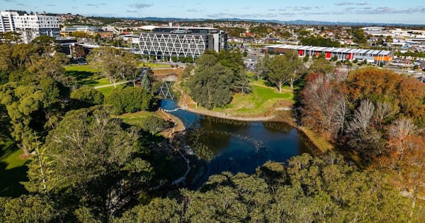 From dumping ground to destination: Praise for Manukau's green heart