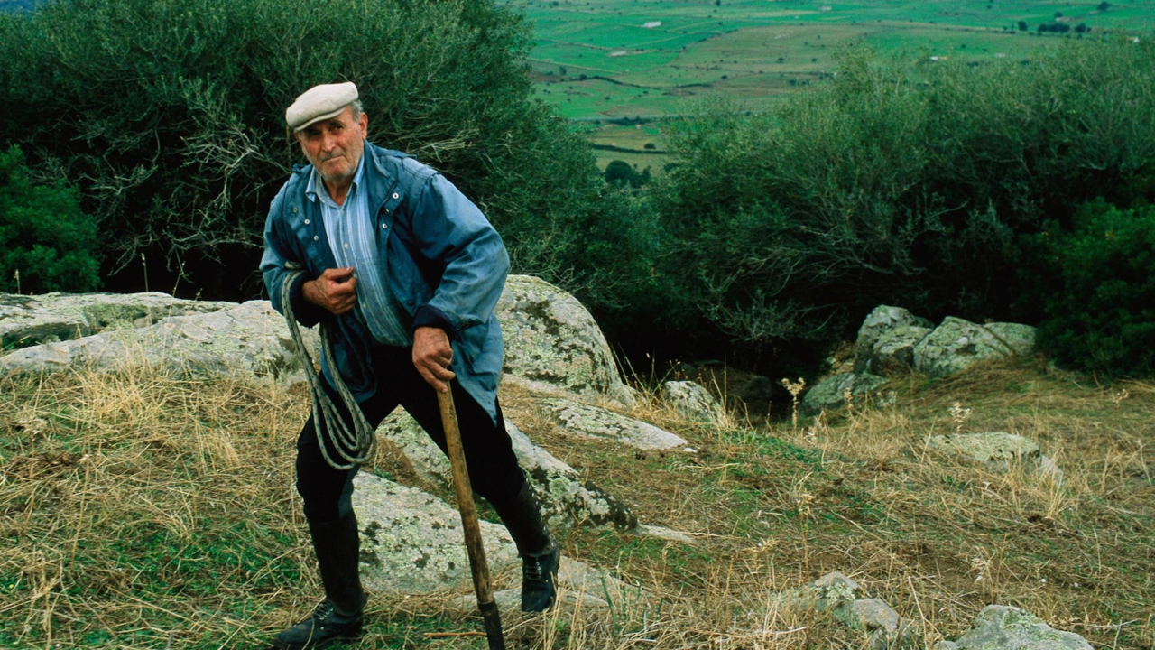 An elderly shepherd in Sardinia's mountainous Blue Zone.