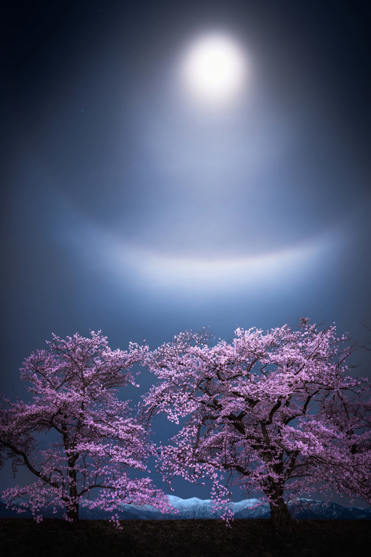 Skyscapes.