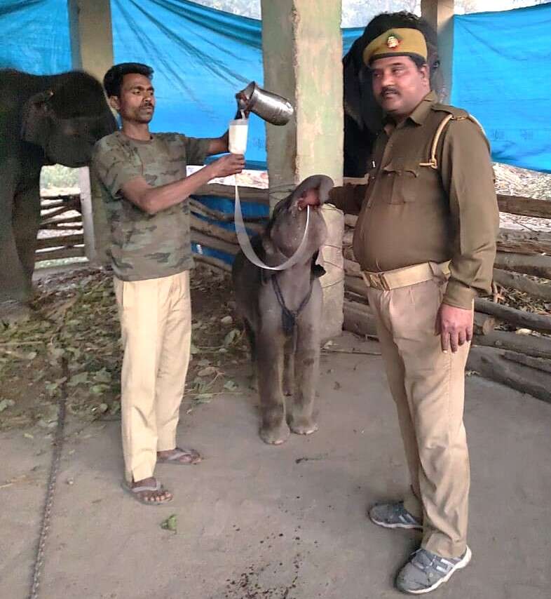 Irshad feeds Bhawani b26dae2f-8fcb-4fb1-bdbd-6cb8743dea14_Irshad_Ali_feeding_Bhawani.jpg