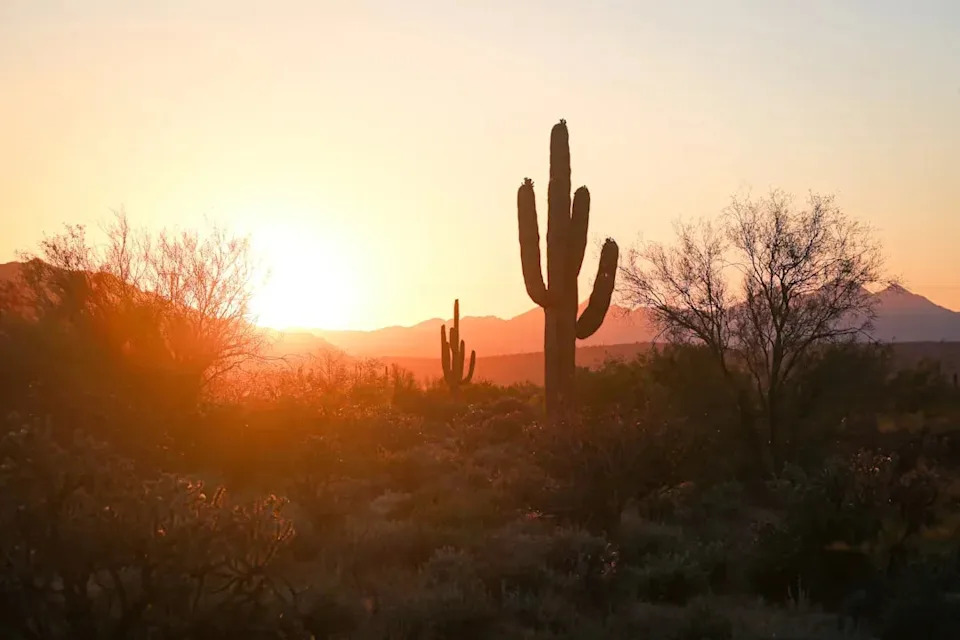 Arizona: Trading Humidity for Dry Heat (Image Credits: Unsplash)