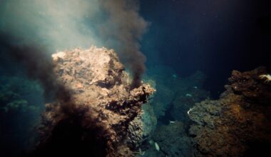 Hydrothermal Vent