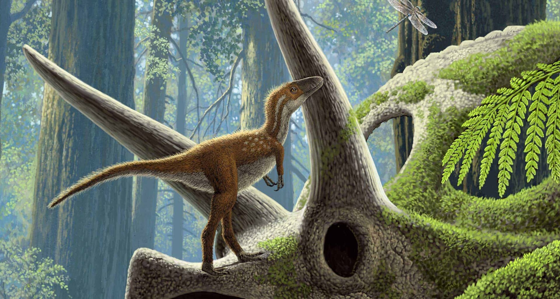 Baby T-Rexes Were Cat-Sized and Already Ready to Hunt