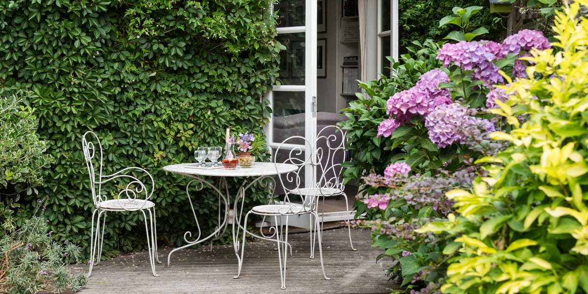 5 Garden Features That Create Privacy Without Planning Permission