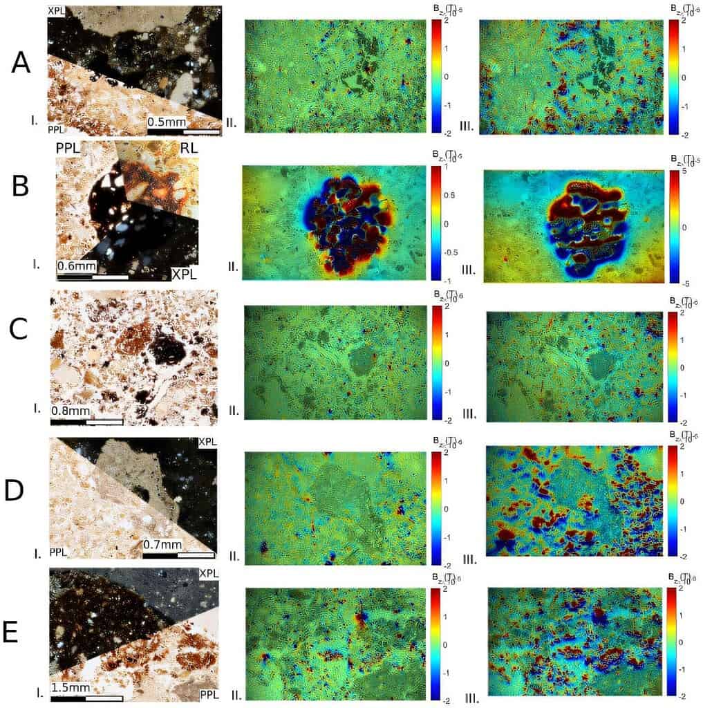 Detailed microscopic images showing material composition and structure analysis of the Neanderthal hearth.