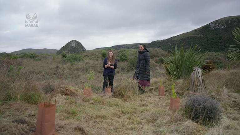Biodiversity ranger Ariel Daubney (left) shows Marae reporter Leigh-Marama McLachlan the planting done at Ōkia, a nesting site for hoiho.