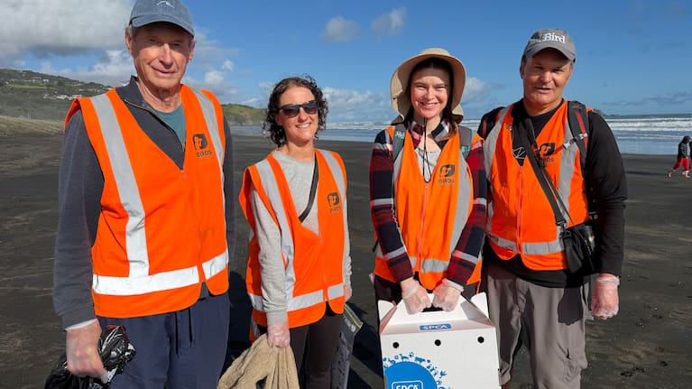 Birds NZ volunteers at Muriwai beach