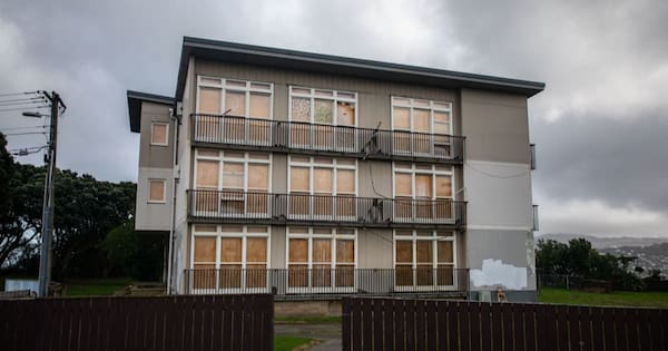 'Post-apocalypse': Residents want answers over Wellington ghost houses