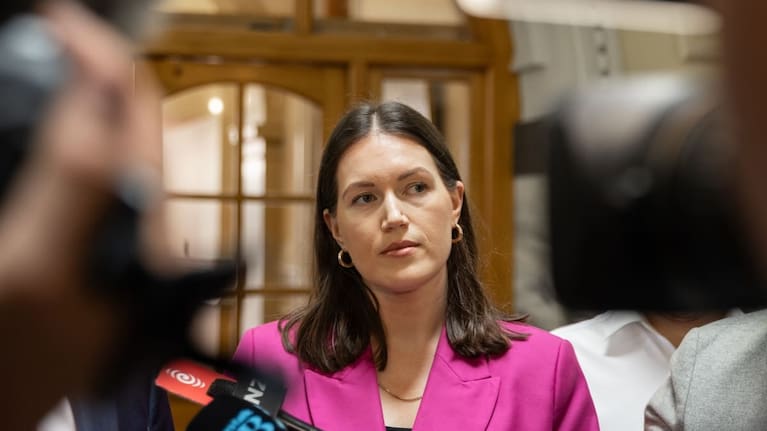 Minister of Internal Affairs Brooke van Velden.