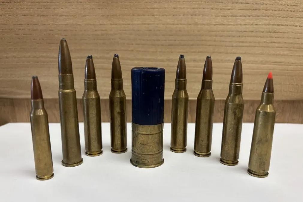 Bullets found in wool bales 'deeply shocking'