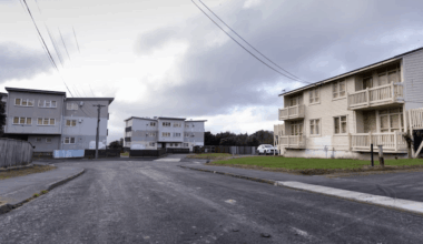 ‘So depressing’: Residents push for answers over Wellington ghost houses