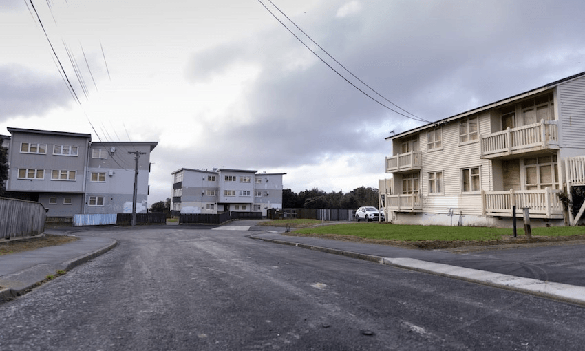 ‘So depressing’: Residents push for answers over Wellington ghost houses