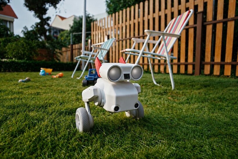 playful camera robot follows people and pets across any terrain while filming in 4K - 1