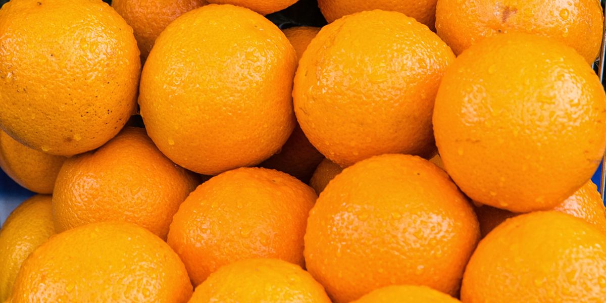 Could Vitamin C Help Protect the Aging Brain?