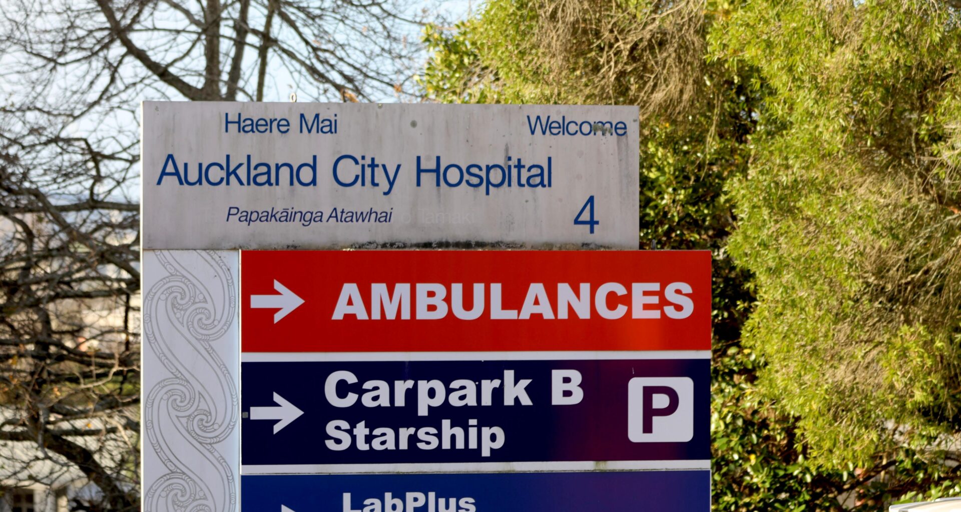 Patient falls trying to kill cockroaches at Auckland Hospital as fleas hit wards