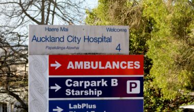 Patient falls trying to kill cockroaches at Auckland Hospital as fleas hit wards