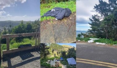Carcasses and fireworks: Locals appalled by Kaiti Hill vandalism