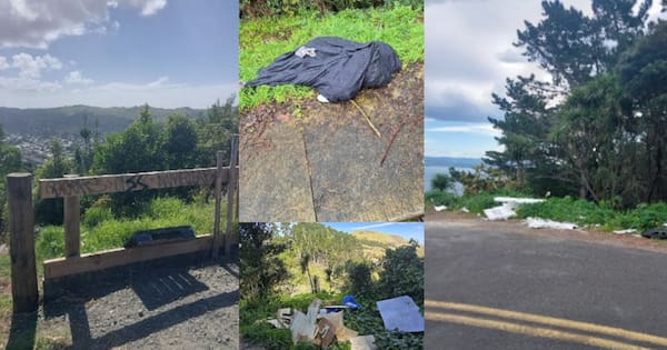 Carcasses and fireworks: Locals appalled by Kaiti Hill vandalism