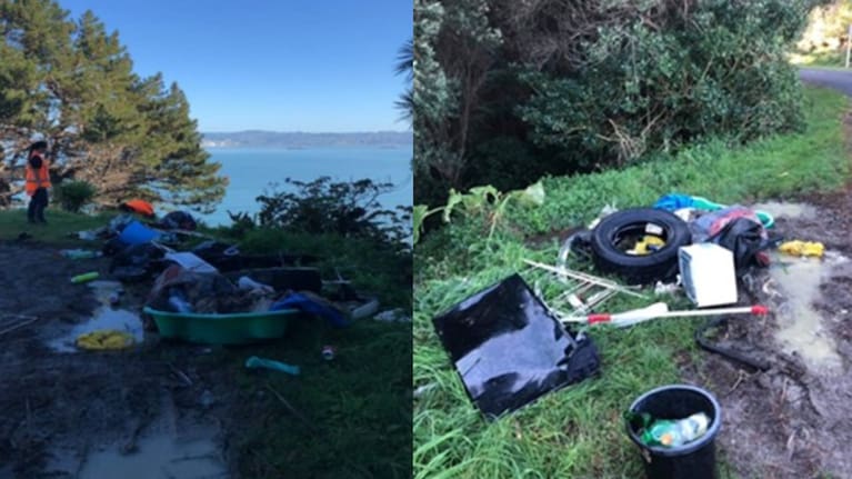 Council records indicate ongoing issues with illegal dumping and vandalism at Tītīrangi Maunga, pictured here.
