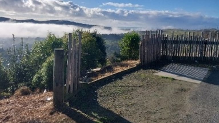 Council records indicate ongoing issues with illegal dumping and vandalism at Tītīrangi Maunga, pictured here.
