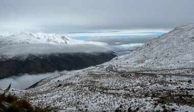 Driver dies after car collides with bus near Cardrona